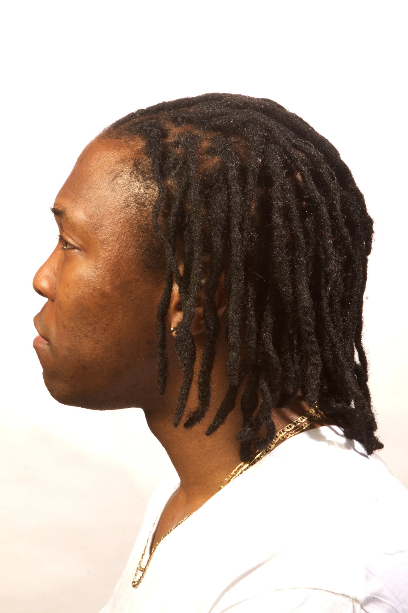 Freshly maintained shoulder-length locs